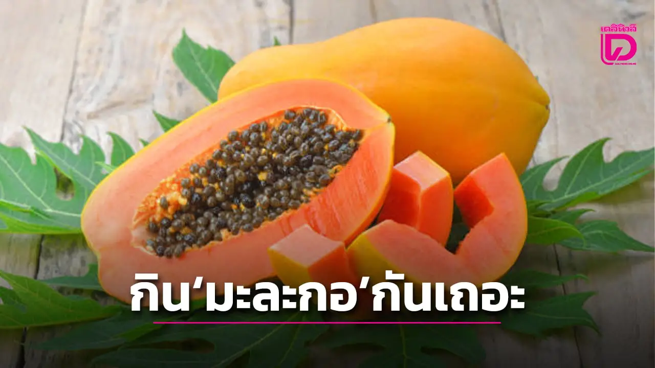 ‘มะละกอ’ ของดีครอบจักรวาล