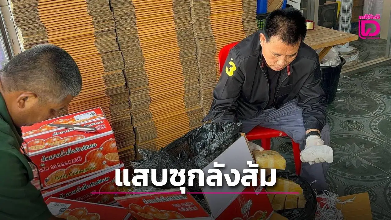 ยึดยาบ้าครึ่งล้านเม็ดซุกลังส้มส่งขนส่ง รวบ ‘แก๊งไทใหญ่’ สารภาพหมดเปลือก