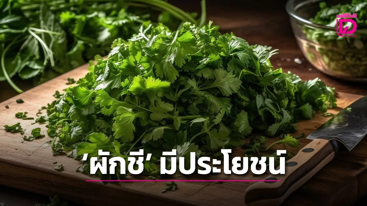 ‘ผักชี’ มีดีมากกว่าแค่โรยหน้า