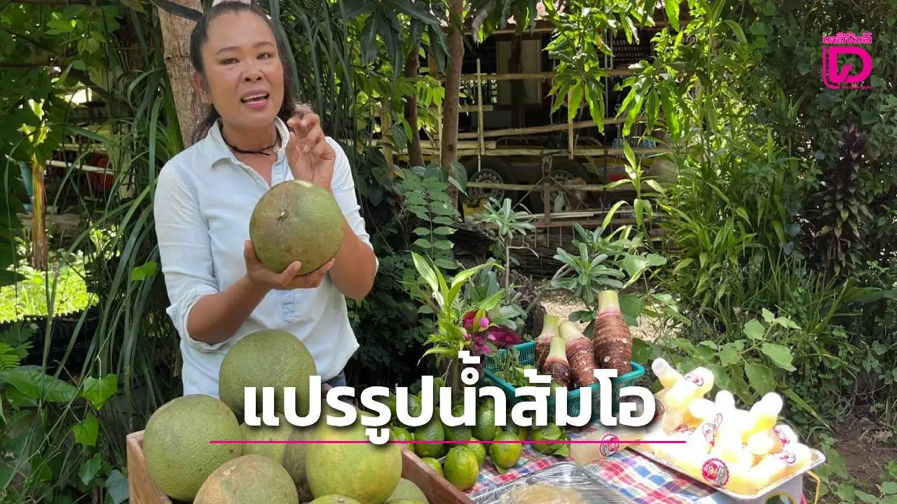 เกษตรกรรุ่นใหม่จังหวัดอุทัยธานีแปรรูปน้ำส้มโอเพื่อสุขภาพ