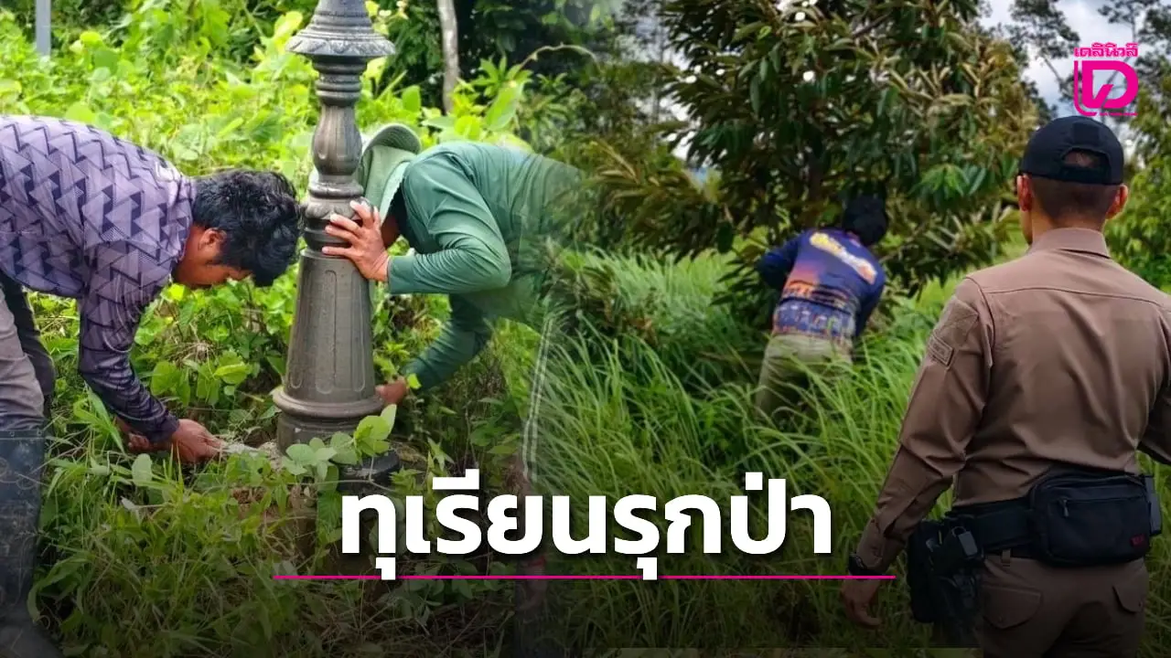 รองผู้การจันทบุรี นำทัพลุยรื้อถอนสวนทุเรียน บุกรุกป่าสงวน ‘ป่าตกพรม’