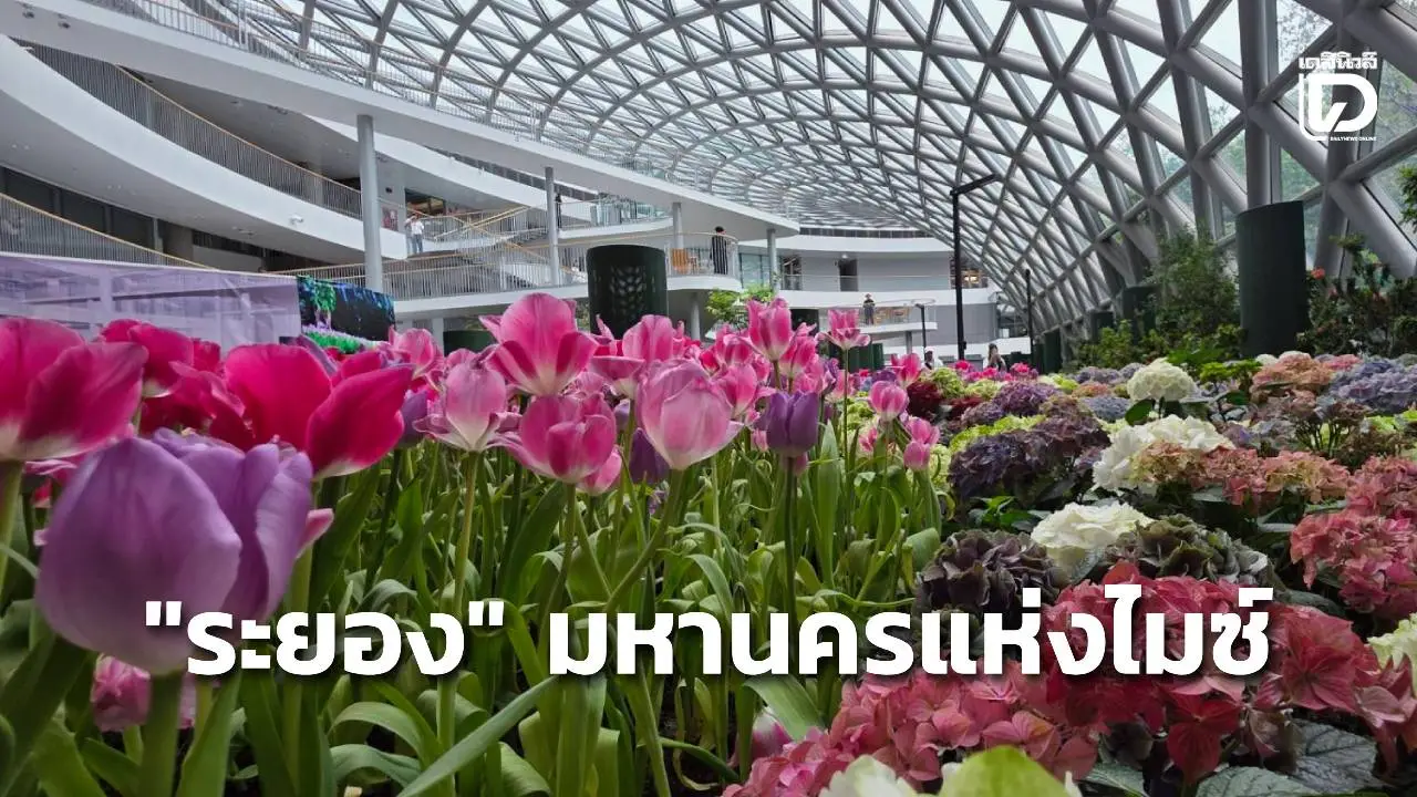 'มหานครแห่งไมซ์' จากพัทยาสู่ระยอง