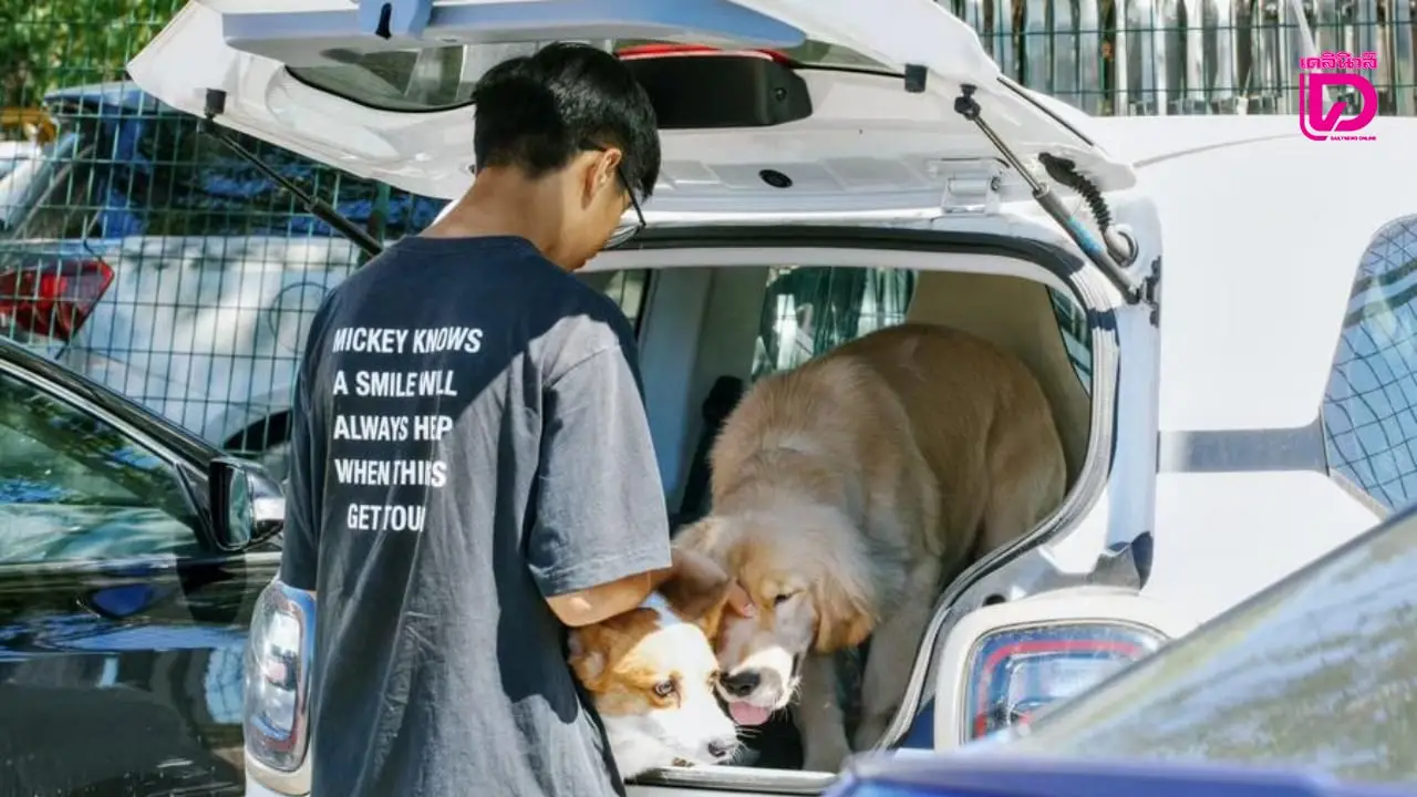 สนามบินหางโจวเปิดห้องรับรองสัตว์เลี้ยง เดินทางสะดวกสบายทุกเที่ยวบิน