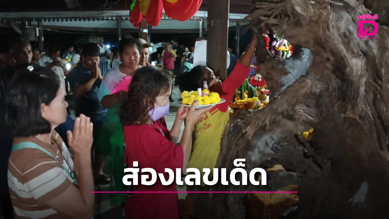 ส่องเลขเด็ด! พิธีบวงสรวงแม่ย่าศรีปางตาล ต้นตะเคียน​โบราณ​อายุกว่า​ 500 ปี