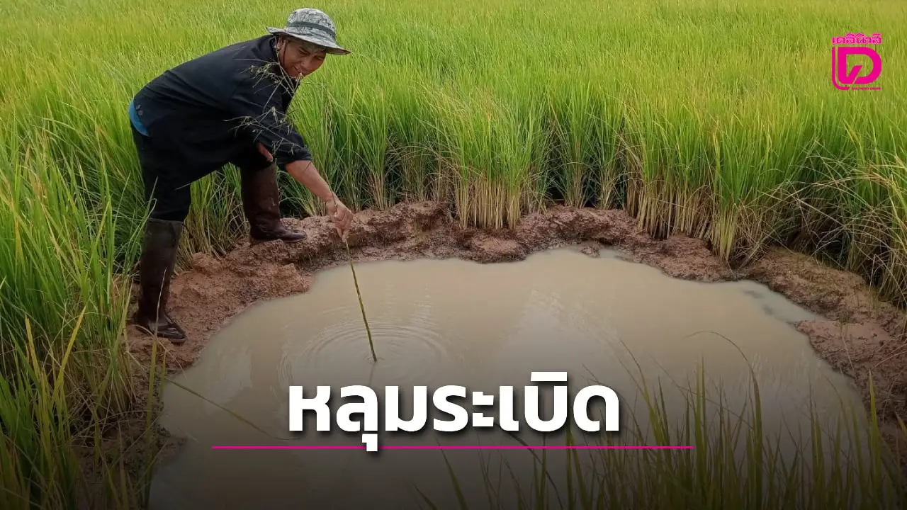 ผวาหลุมกลางทุ่งนา คาดระเบิด ‘เขมร’ ยังไม่บึ้ม เร่งประสาน EOD เก็บกู้