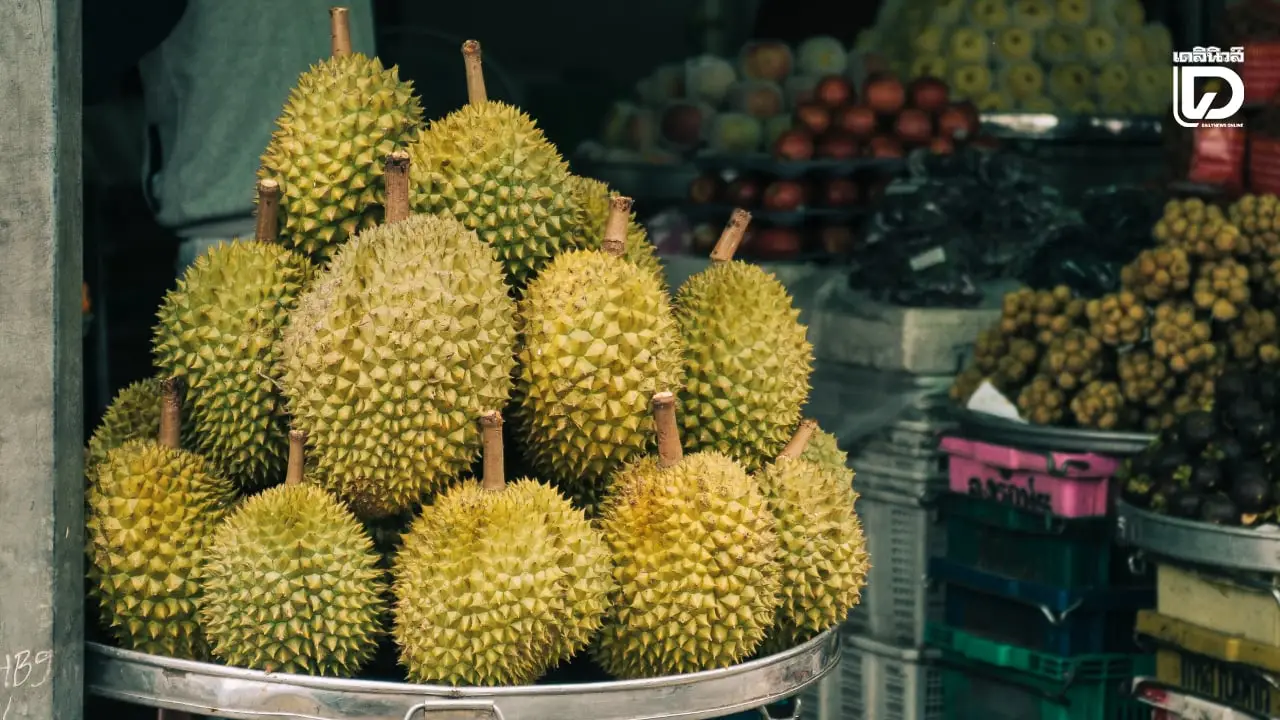 เวียดนามออกแนวปฏิบัติคุมคุณภาพ 'ทุเรียนส่งออก' ปลอดภัยไว้ใจได้