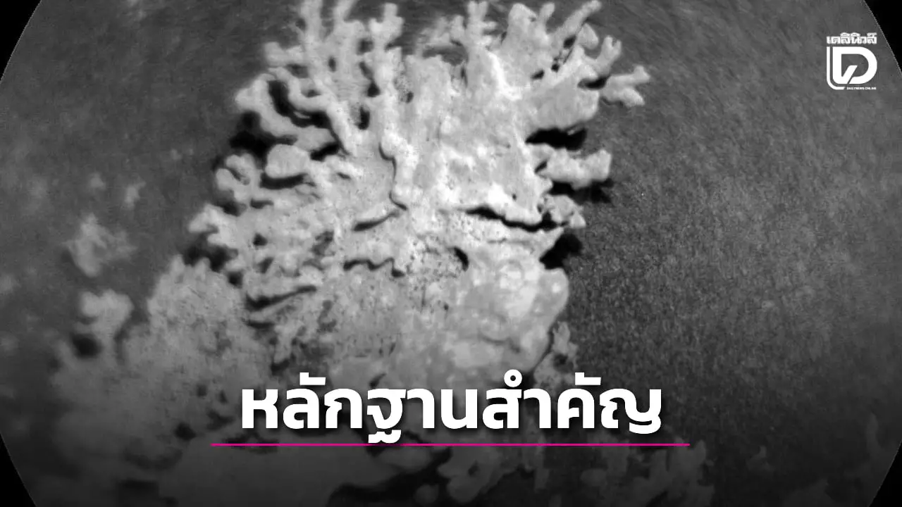 ‘นาซา’ พบก้อนหินคล้ายปะการังบนดาวอังคาร ชี้อาจเป็นหลักฐานของสิ่งมีชีวิต
