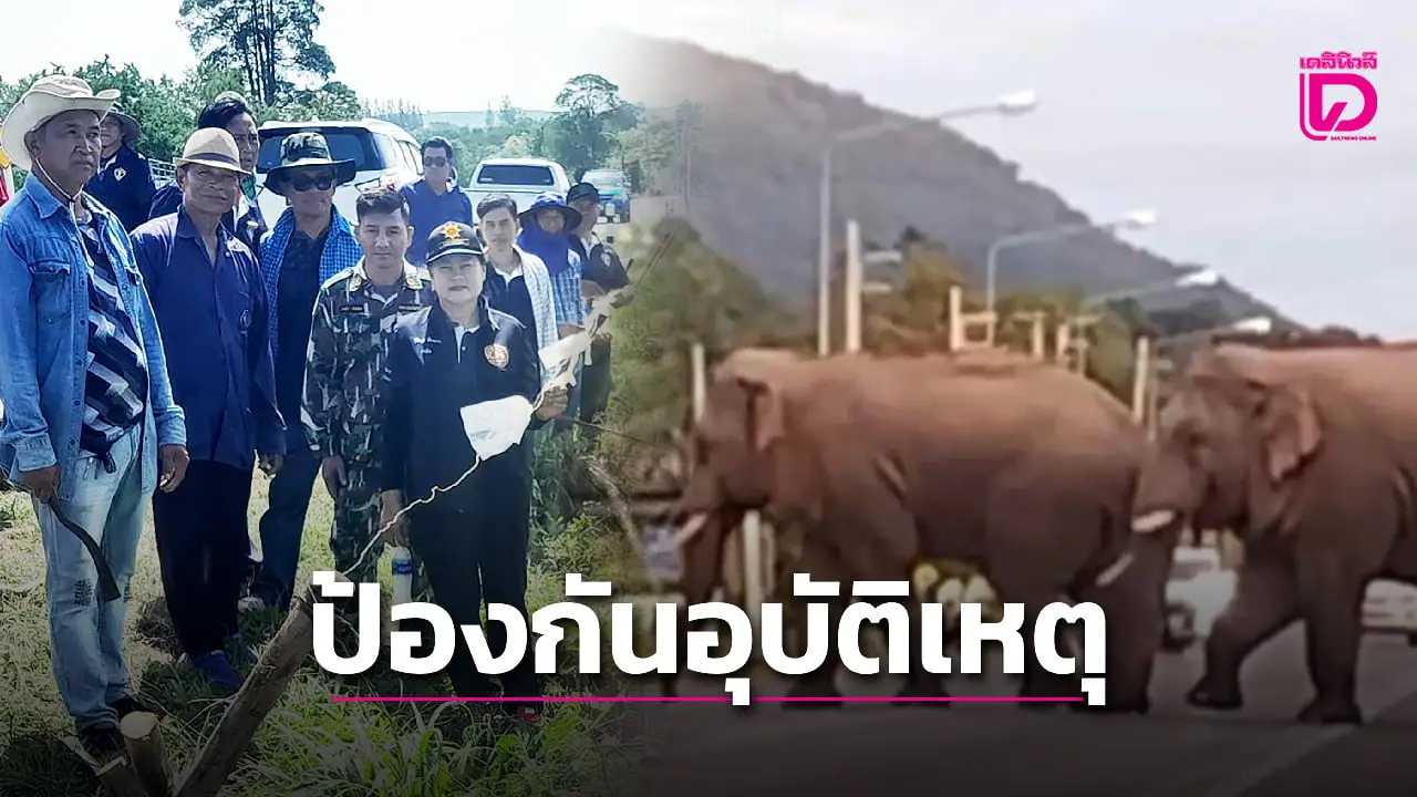 ปลอดภัยไว้ก่อน! ติดป้าย-ไฟกะพริบ เตือนชาวบ้านระวัง ‘ช้างป่า-กระทิง’