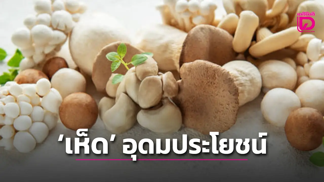 ‘เห็ด’ อุดมประโยชน์ เสริมภูมิต้านทาน