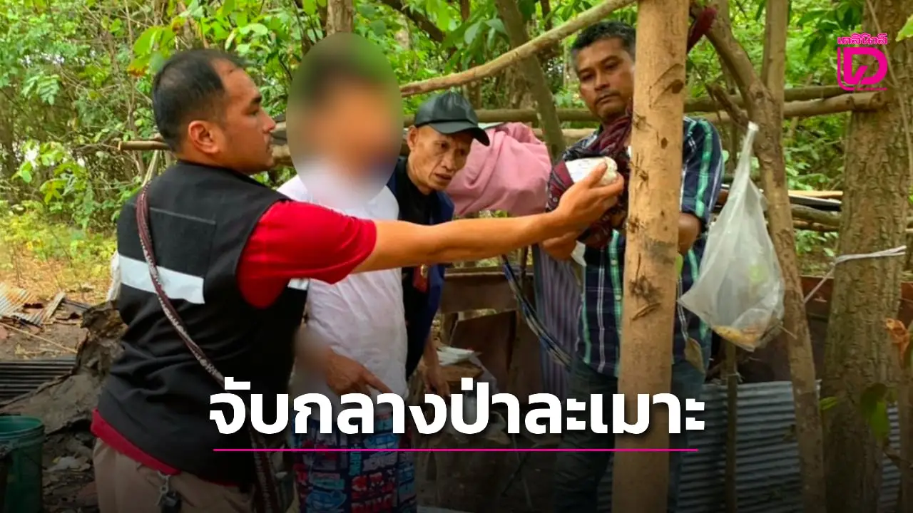 ‘เอเย่นต์’ ซุ่มขายยาบ้ากลางป่าละเมาะ เจอ ‘ปะฉะดะ-ชะอำ’ บุกจับคาเพิงพัก