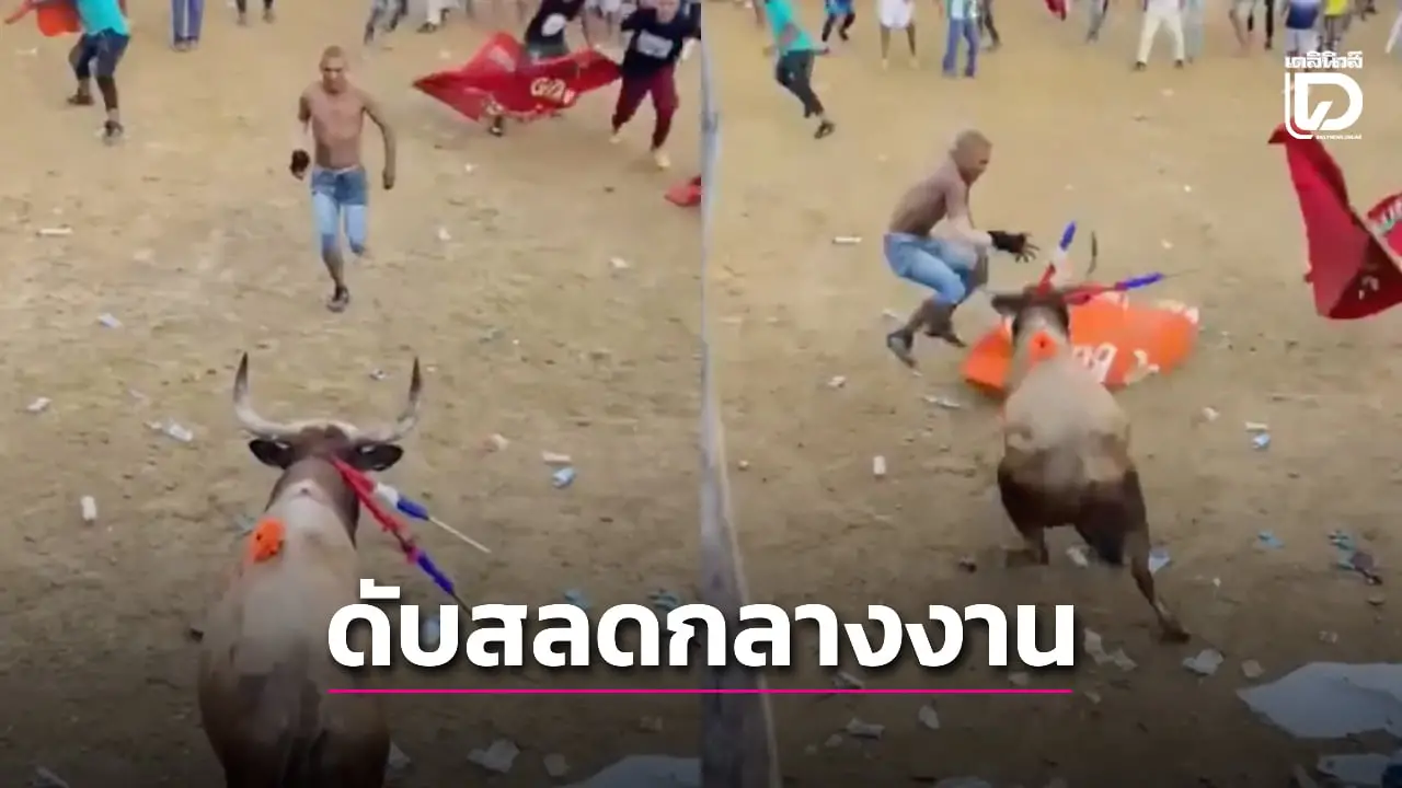 นักสู้วัวกระทิงโดนขวิดต่อหน้าฝูงชน ดับสลดกลางเทศกาล