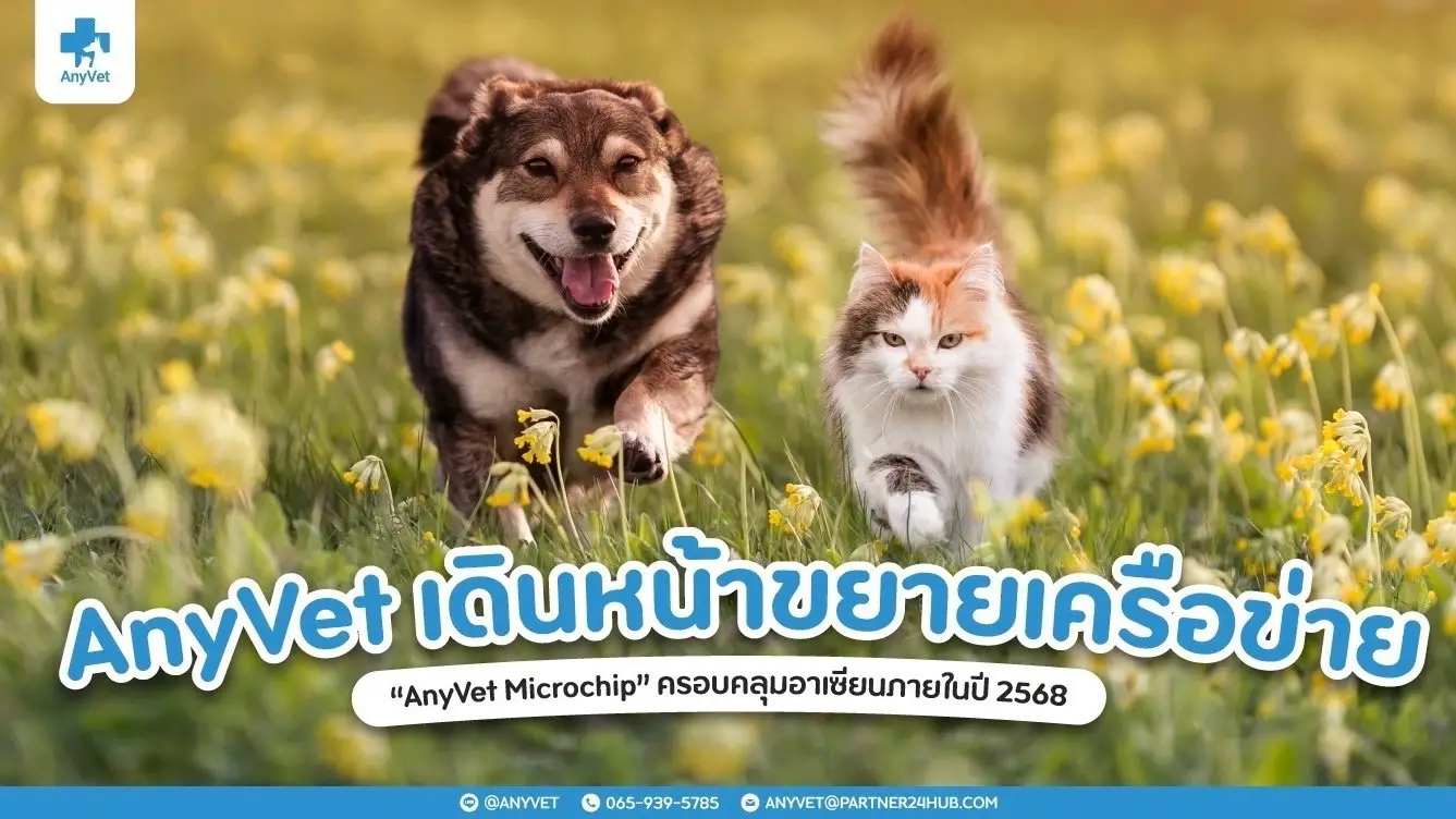 AnyVet เดินหน้าขยายเครือข่าย 'AnyVet Microchip' ครอบคลุมอาเซียนภายในปี 2568