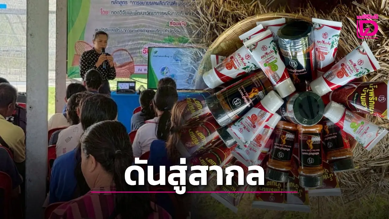 ติวเข้ม! กรมวิชาการเกษตร ดัน ‘พริกพื้นถิ่น’ สู่เชิงพาณิชย์สร้างมูลค่าเพิ่ม
