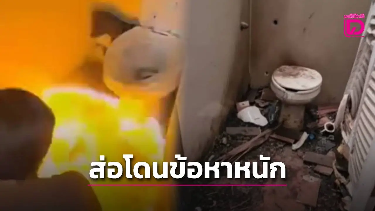 หดหู่! แก๊งวัยคะนองเผาสุนัขพิการทั้งเป็น ส่อโดนข้อหาหนัก ‘วางเพลิงเผาทรัพย์’