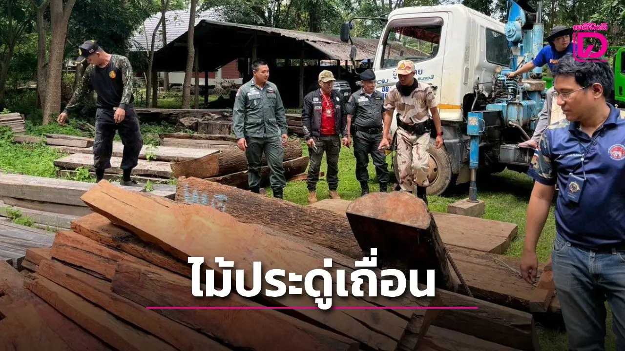 ‘ตชด.ร้อย 336-ปางหมู’ ขยายผลจับกุม ขบวนการลักลอบขนไม้ประดู่เถื่อน