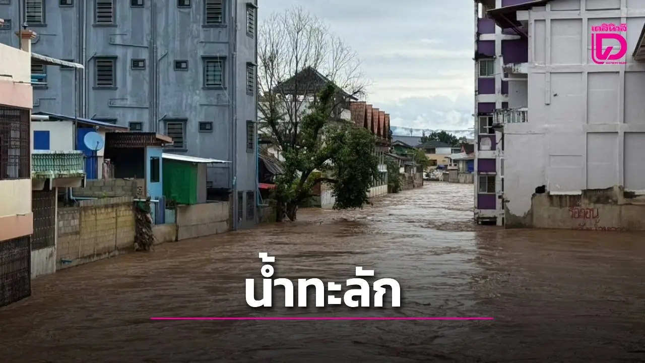 เชียงรายอ่วม! น้ำป่าหลากเข้าท่วมแม่สาย-แม่จัน ถนนจมน้ำหลายจุด เตือนประชาชนเตรียมพร้อมอพยพ