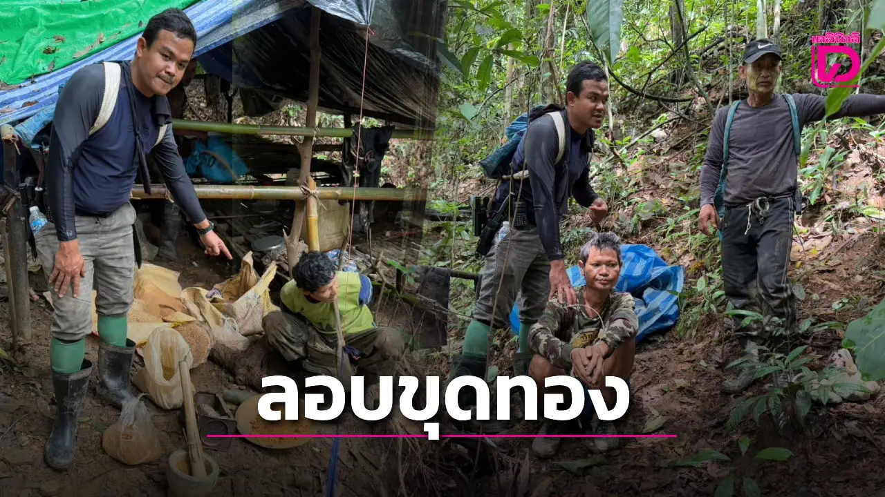 ทำลายป่าต้นน้ำ! จับ 4 หนุ่ม ‘กะเหรี่ยง-มอญ-เมียนมา’ ลอบขุดทองอุทยานฯ
