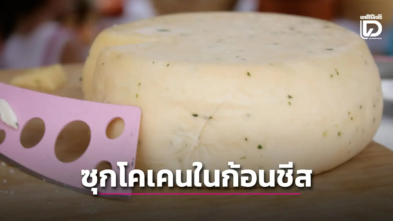 สาวแสบเจอคุกหลังสารภาพ แอบซุกโคเคนมูลค่ากว่า 30 ล้านในก้อนชีสหนัก 7 กก.