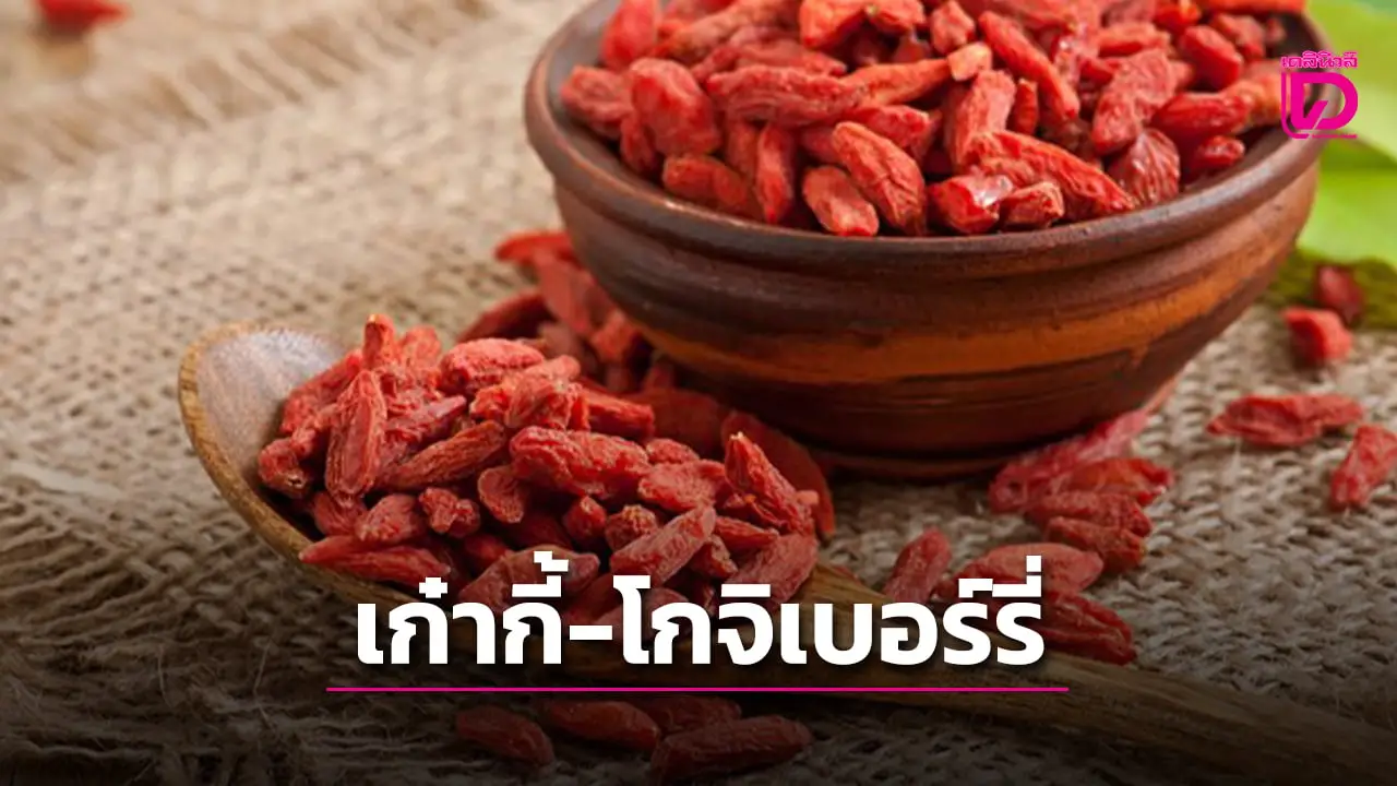 ‘เก๋ากี้-โกจิเบอร์รี่’ กินอย่างไรให้ได้ประโยชน์