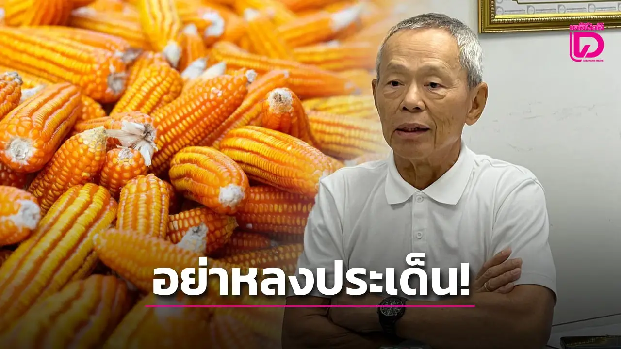 เตือนหมูสหรัฐ คือระเบิดเวลาทำลายห่วงโซ่เกษตรกรไทย ทั้งข้าวโพด-ข้าว-มันสำปะหลัง