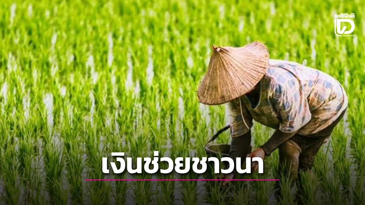 ครม.ไฟเขียวเงินช่วยเหลือเกษตรกร 2568/69 แจกชาวนาไร่ละ 1,000 บาท