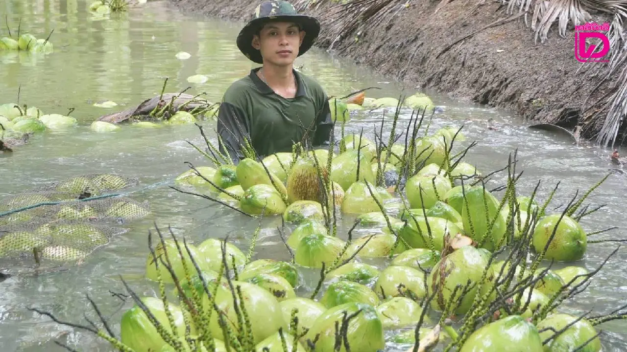 ไฟเขียวเปิดโควตานำเข้า 3 กลุ่มสินค้า กากถั่วเหลือง-เมล็ดถั่วเหลือง-มะพร้าว กำหนดกรอบ 3 ปี