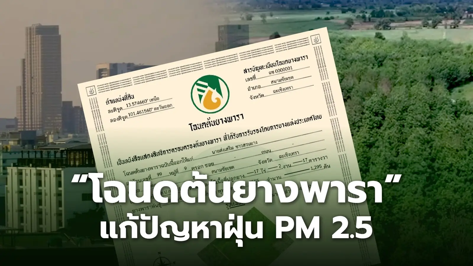โฉนดต้นยาง ช่วยลดปัญหาฝุ่น PM2.5 ภัยคุกคามสุขภาพ