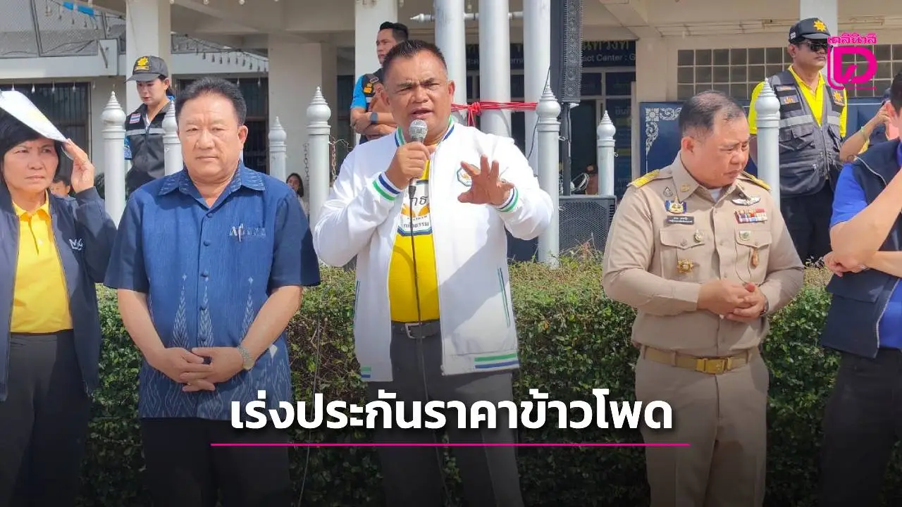 ‘บัญชา’ ขอรัฐบาลเร่งประกันราคาข้าวโพดไม่ต่ำกว่ากก.ละ7บาท-พร้อมชะลอนำเข้า