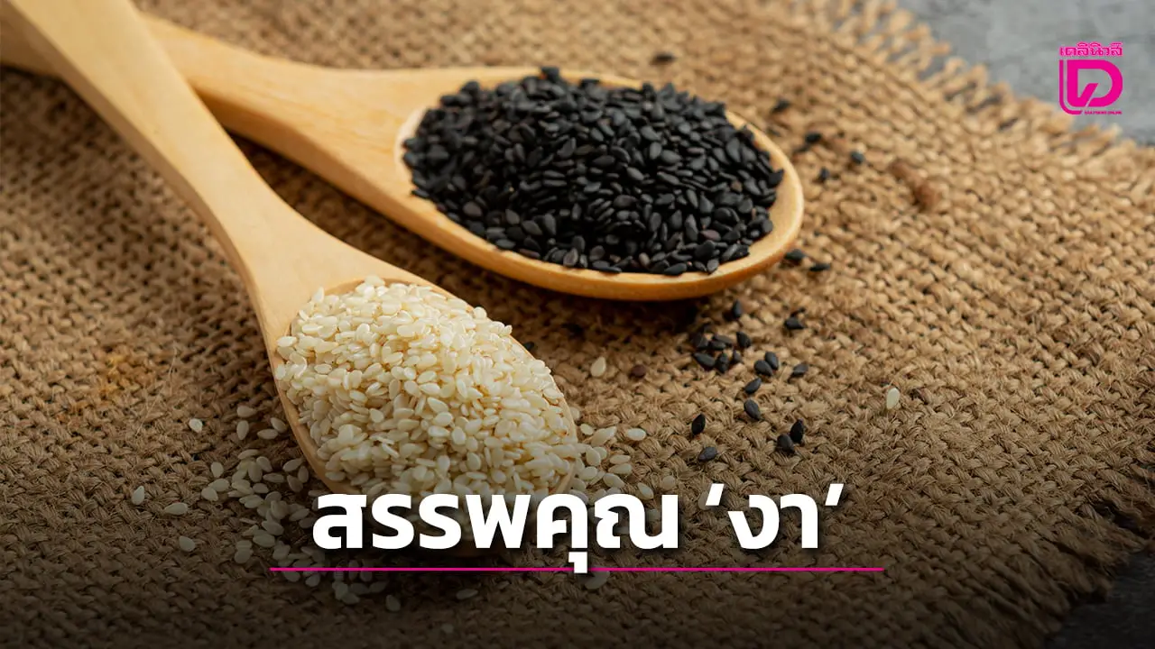 ‘งา’ ธัญพืชจิ๋วแต่แจ๋ว ของดีอัดแน่นเต็มเมล็ด