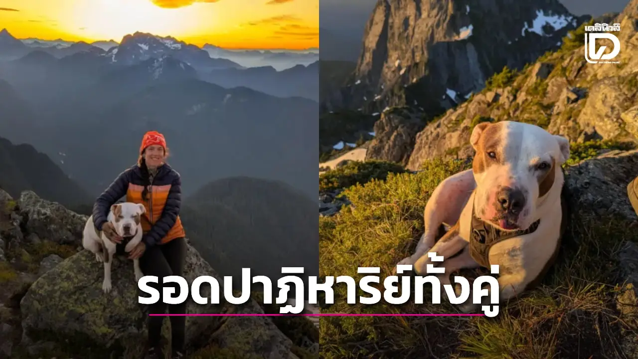 ไม่ทิ้งกัน! สาวดิ่งลงเขาเกือบ 20 เมตรเพื่อช่วยน้องหมาแสนรัก