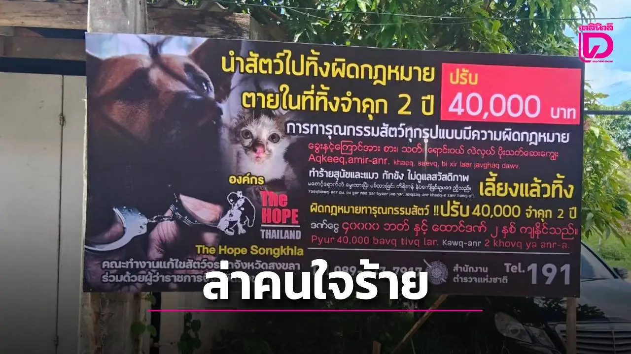 เดอะโฮปสงขลา เร่งล่าผู้ทารุณสุนัขแม่ลูก ปล่อยป่ายางหลังห้างโลตัส