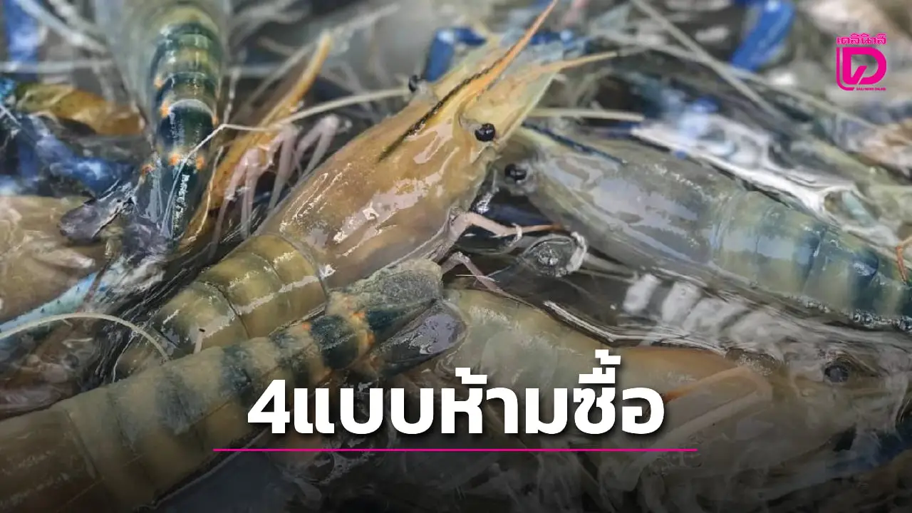เตือนอย่าซื้อเด็ดขาด!! เจ้าของร้านบอกเอง 4 เคล็ดลับเด็ดวิธีเลือก ‘กุ้งสด’