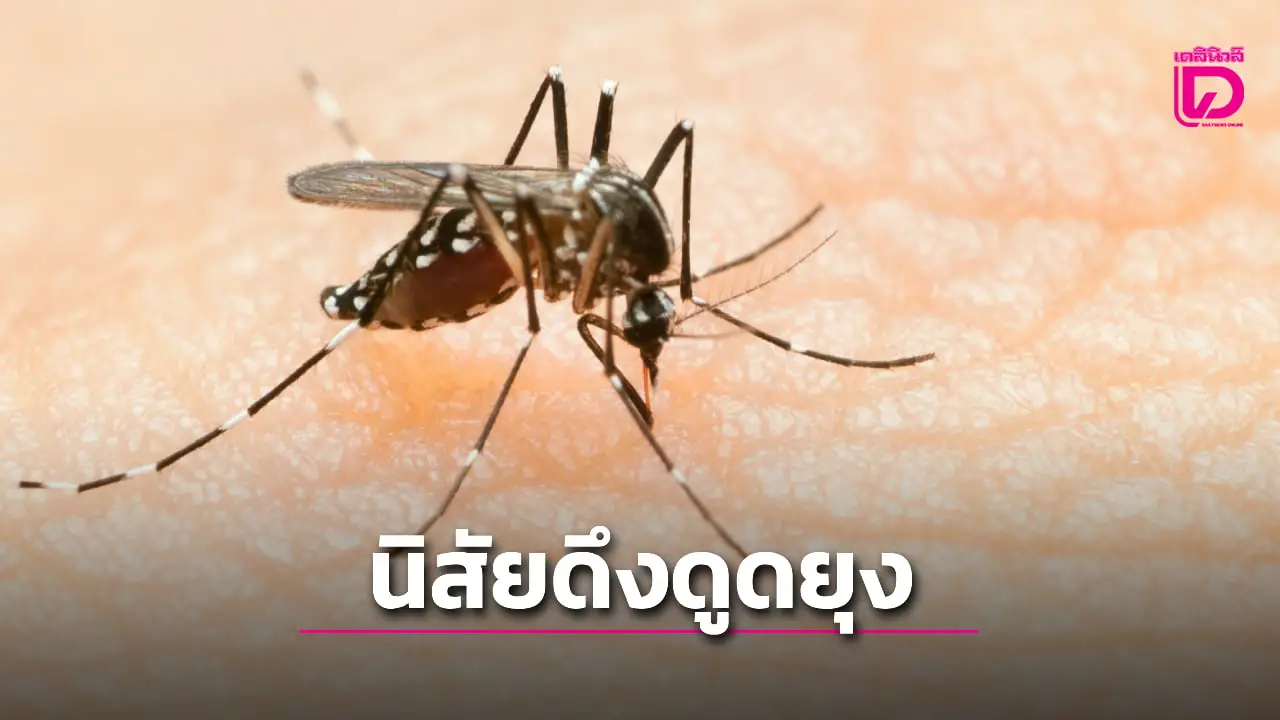 ผลการศึกษาชี้ นิสัยที่ทำให้คนกลายเป็น 'แม่เหล็กดูดยุง'