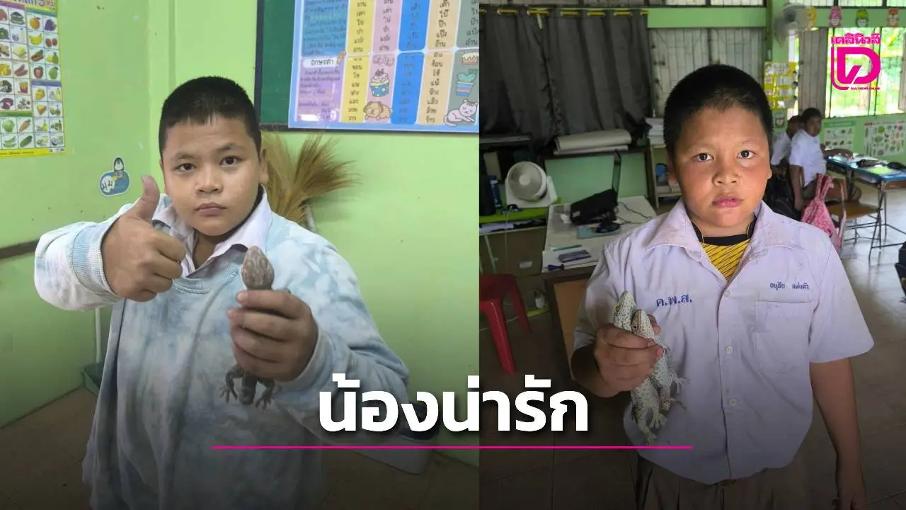 ใครว่าตุ๊กแกน่ากลัว? 'น้องตุ่น' ป.6 จับมือเปล่าแบบชิล ๆ กลายเป็นขวัญใจทั้งโรงเรียน