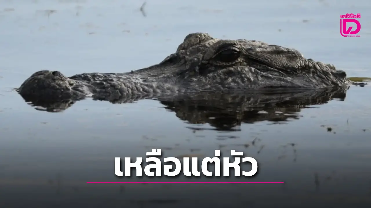 จระเข้หฤโหด! เขมือบชายวัย80 ขณะลงอาบน้ำในแม่น้ำเหลือแต่หัวลอยโผล่