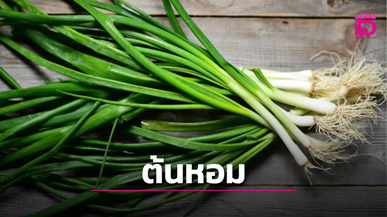 ‘ต้นหอม’ กินดีมีประโยชน์กว่าที่คิด