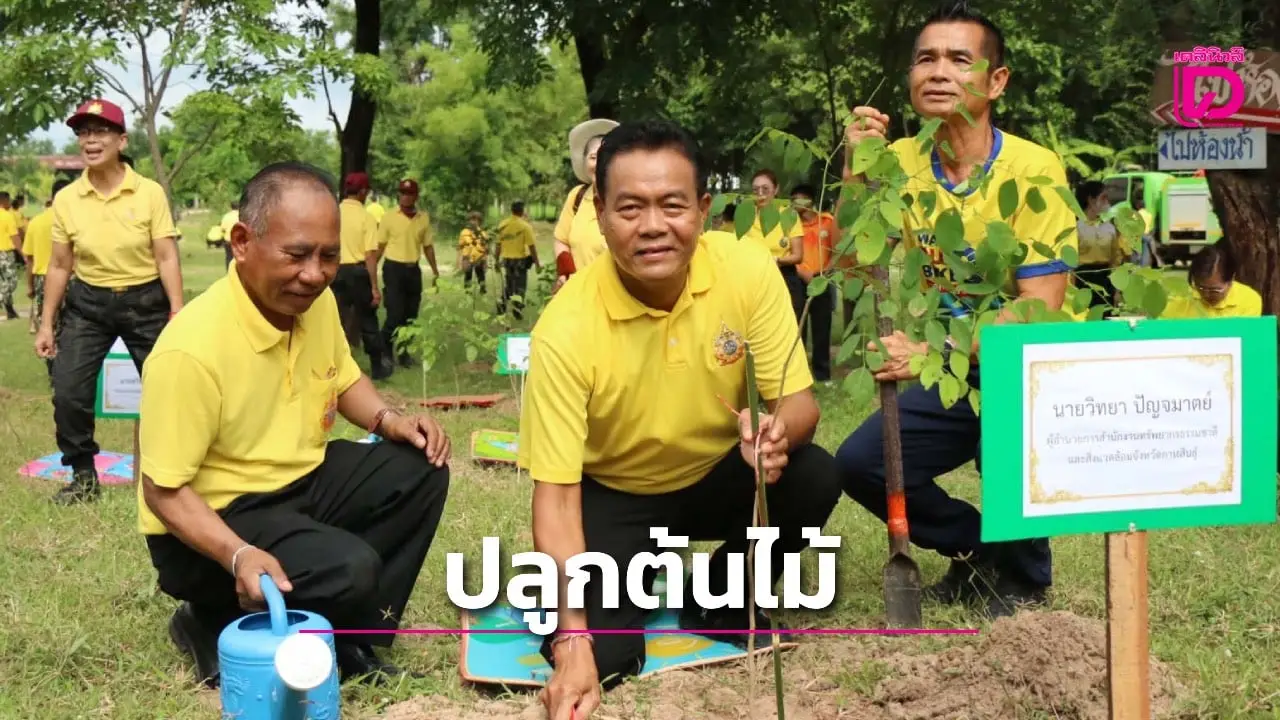 รวมพลังทุกภาคส่วนปลูกต้นไม้คนละต้นเพิ่มพื้นที่สีเขียว เพื่อคนกาฬสินธุ์
