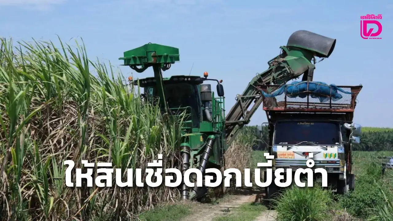 สินเชื่อดอกเบี้ยต่ำเพื่อชาวไร่อ้อย