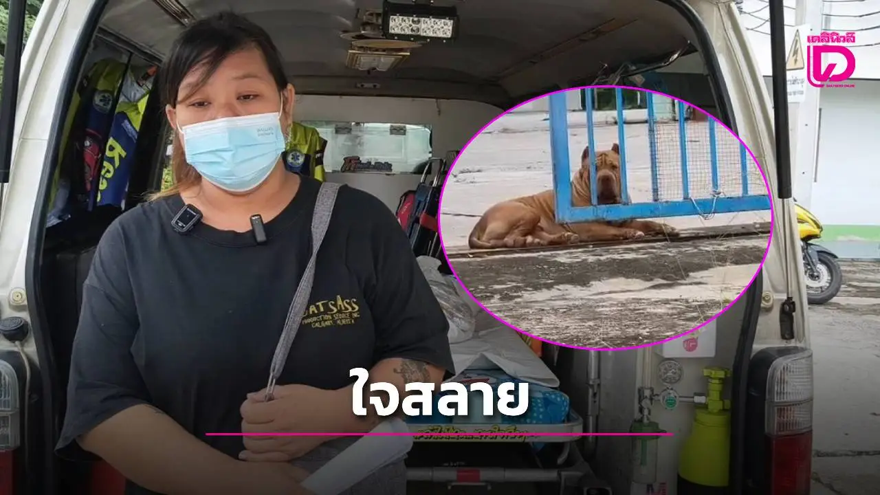 ปล่อยลูก2เดือนบนรถเข็นเด็กถามเจ้าของ 'พิทบูล'กัดมั้ย การันตีไม่กัดสุดท้ายถูกงับหัวดับสลด