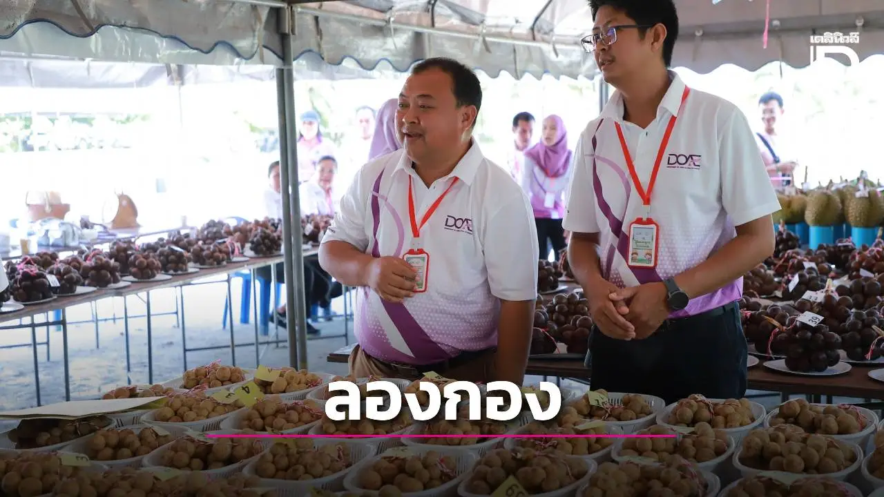 การปรับตัวรับมือสภาพภูมิอากาศของเกษตรกรผู้ปลูกลองกอง