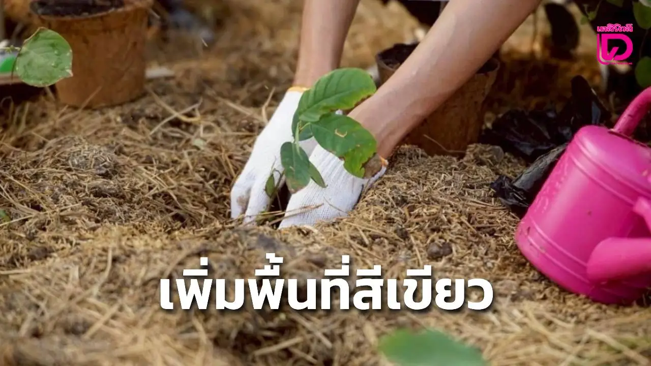 โตโยต้ารวมพลังปลูกป่าขยายพื้นที่สีเขียว