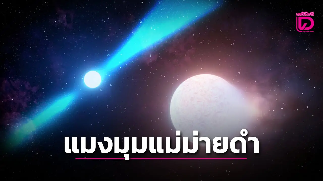 สดร.ปลื้ม! 2 นักดาราศาสตร์ไทย ร่วมทีมค้นพบ ‘พัลซาร์แมงมุมแม่ม่ายดำ’ ดวงใหม่