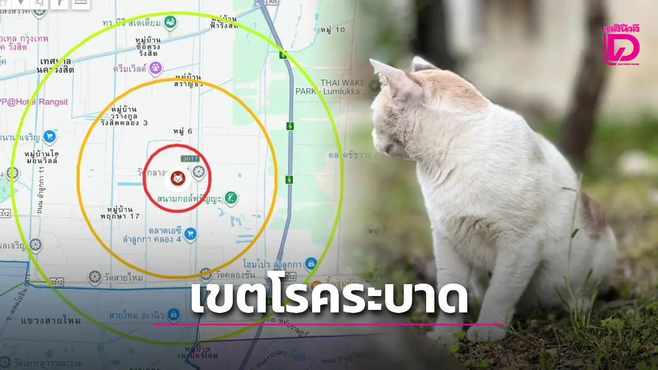ประกาศด่วน! เขตโรคระบาดชั่วคราว กทม.-ปทุมฯ หลังพบแมวป่วย ‘พิษสุนัขบ้า’