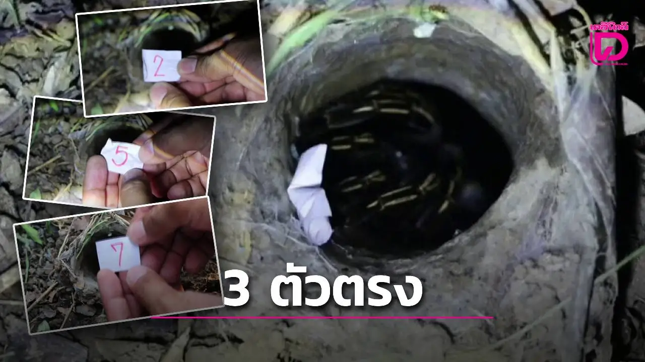 แจกให้แล้ว! เลขเสี่ยงทายพญาบึ้ง งวดนี้ให้แม่นๆ 3 ตัวตรง