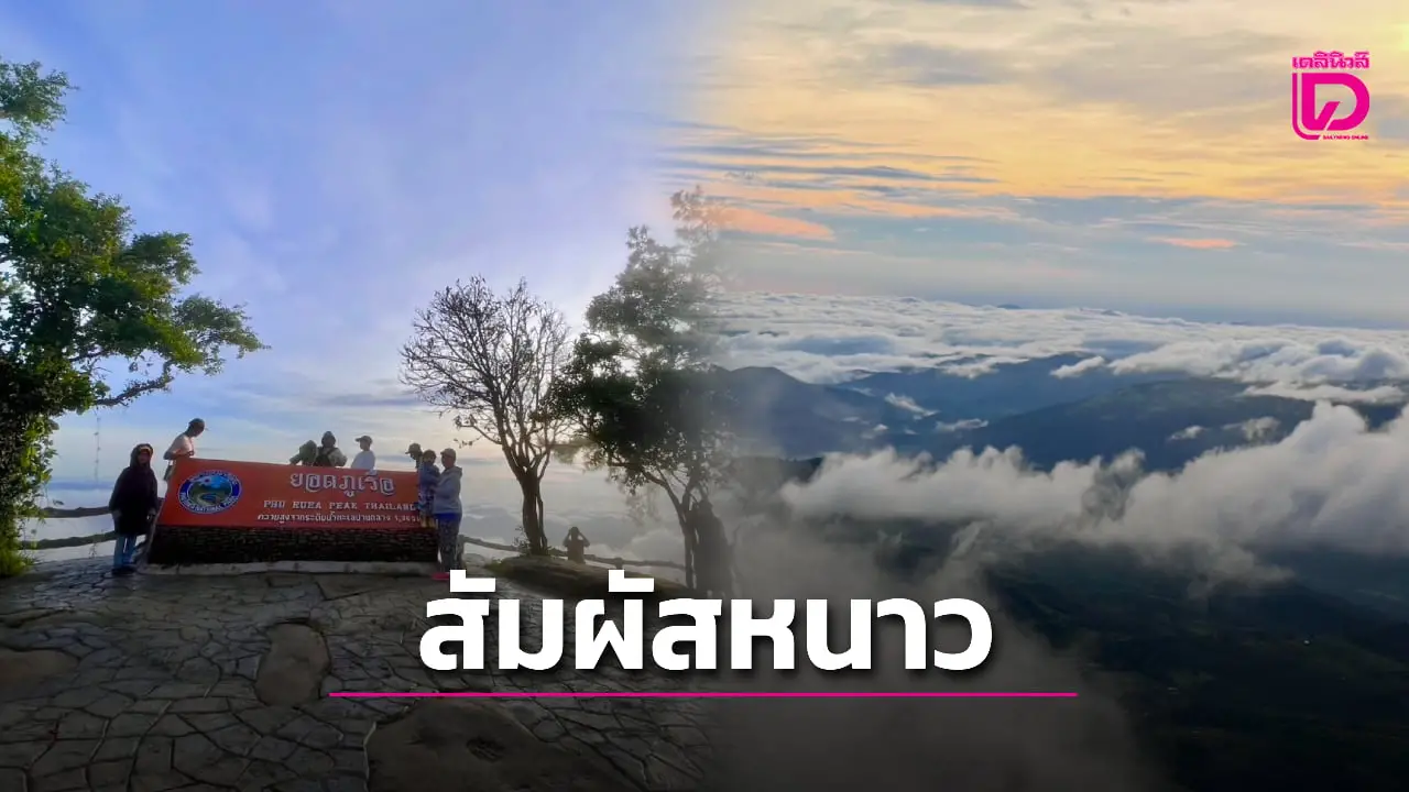 คึกคัก! นักท่องเที่ยวแห่ขึ้น ‘ภูเรือ’ สัมผัสหนาว 15 องศาฯ-ชมทะเลหมอก