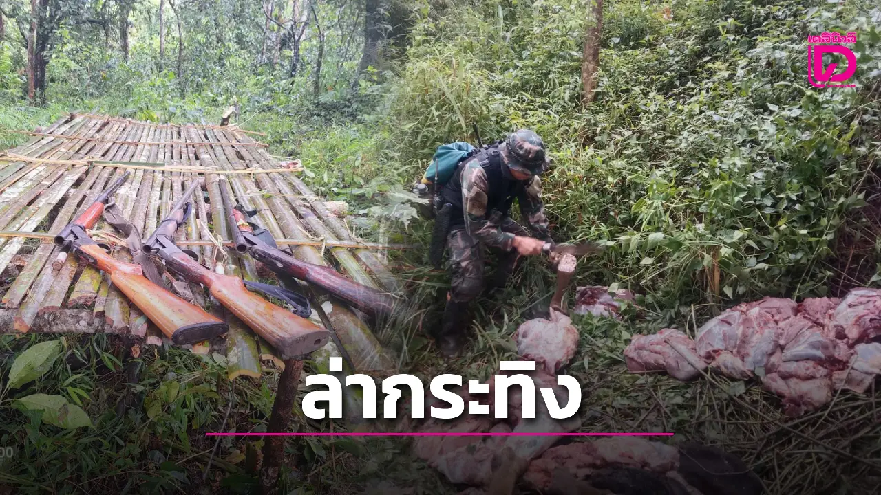 เหี้ยมเกินมนุษย์! บุกจับแก๊งพรานป่า ‘ล่ากระทิง’ ยึดซากพร้อมปืนของกลางคาหนังคาเขา