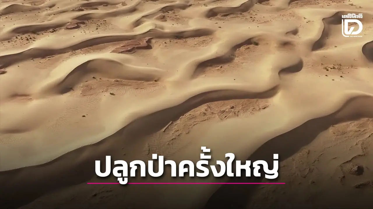 นักอนุรักษ์ในซินเจียง เปลี่ยนทะเลทรายทากลามากัน ให้เป็นโอเอซิส (คลิป)