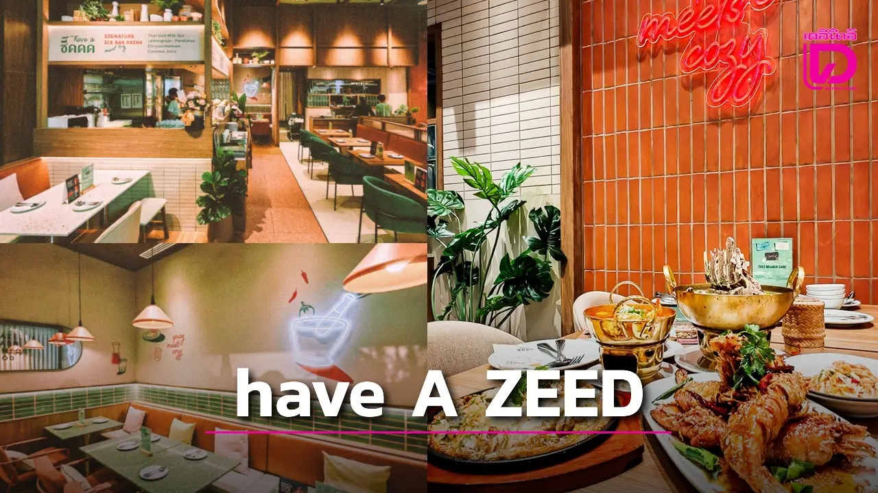 แซ่บซี้ดที่ have A ZEED