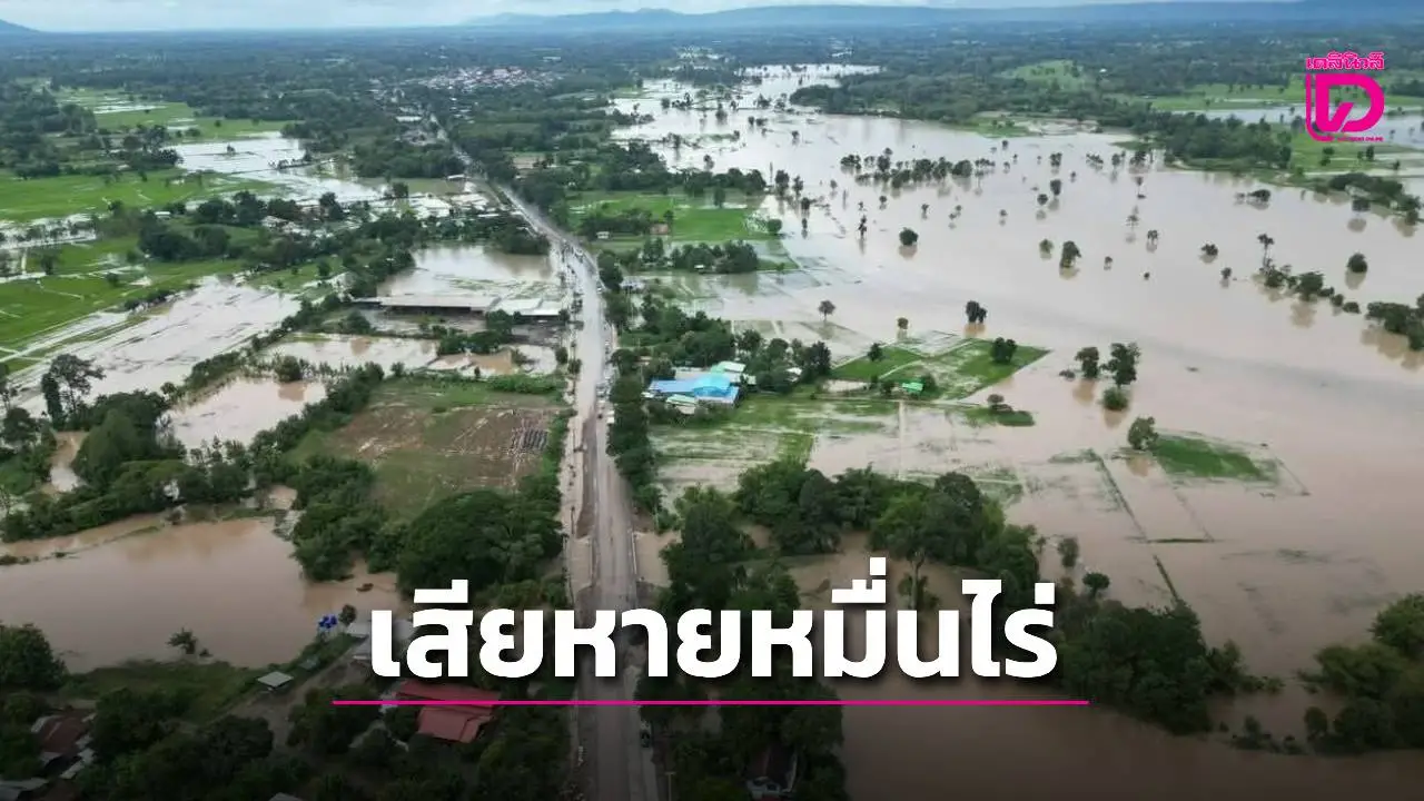 เสียหายนับหมื่นไร่-กระทบพันกว่าครอบครัว พายุ ‘บัวลอย’ ถล่มหนองบัวลำภู