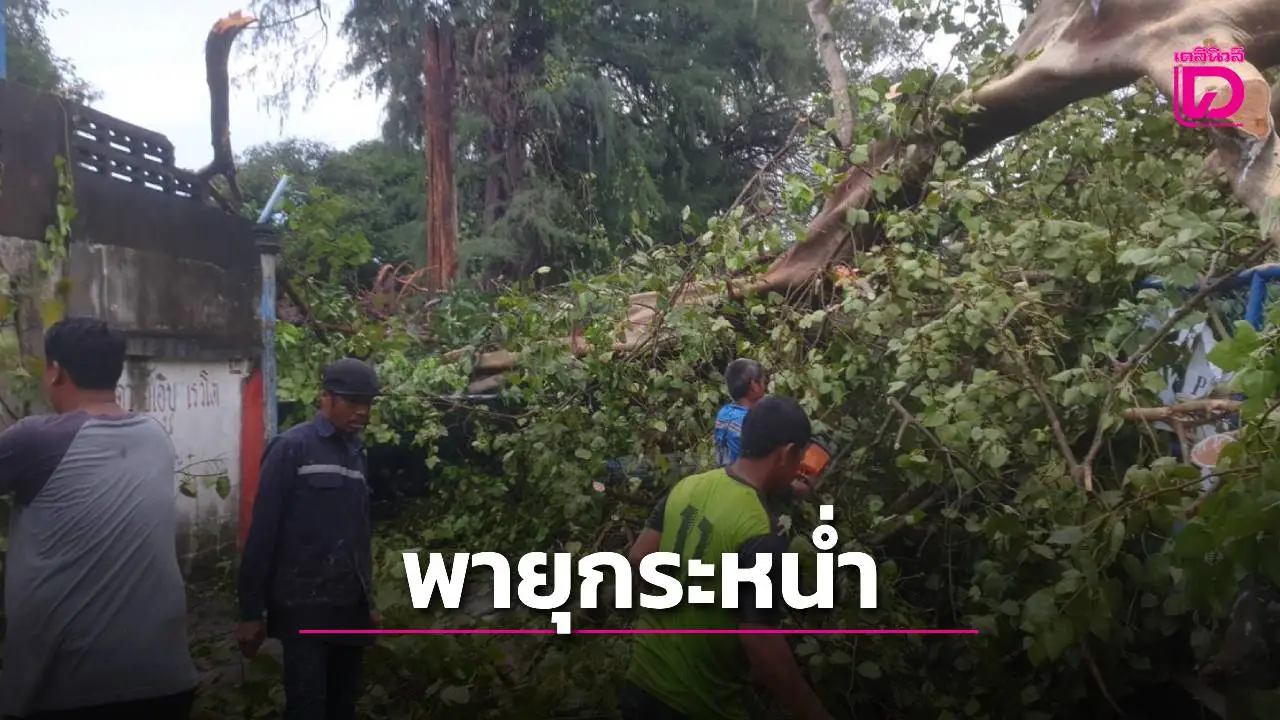 ระยองเผชิญพายุฝนฟ้าคะนอง-ลูกเห็บตกกลางเมือง ต้นไม้ล้มหลายจุด